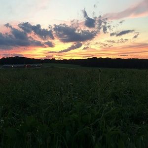 Meet your Posher, Paola